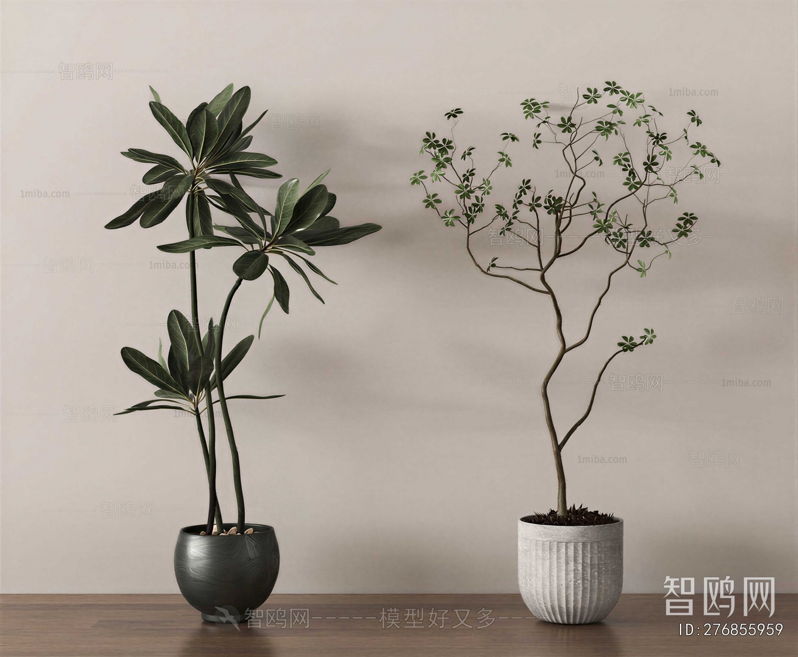 Modern Ground Green Plant Potted Plants