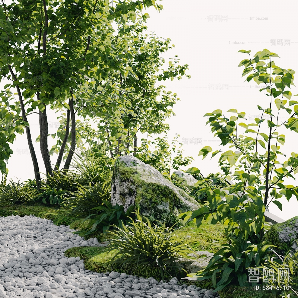 Modern Courtyard/landscape