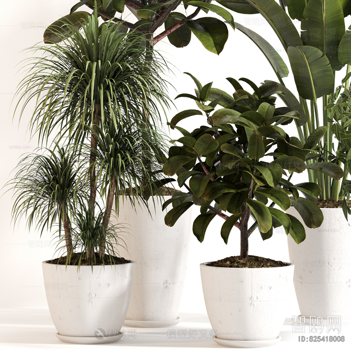 Modern Ground Green Plant Potted Plants