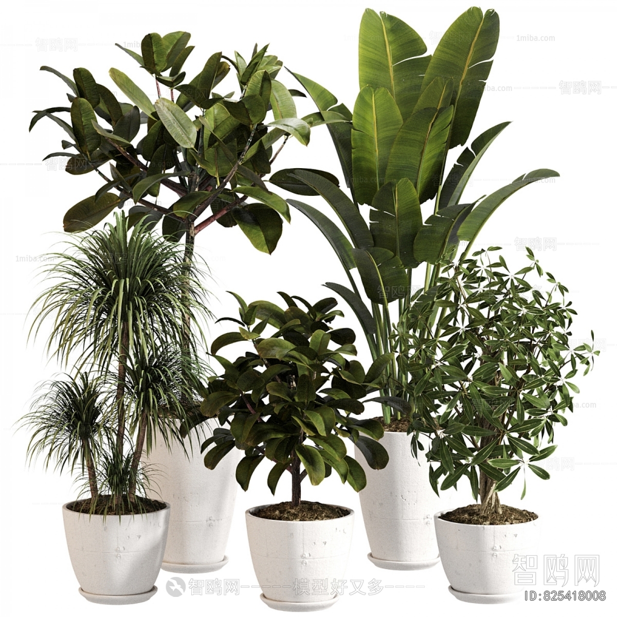 Modern Ground Green Plant Potted Plants