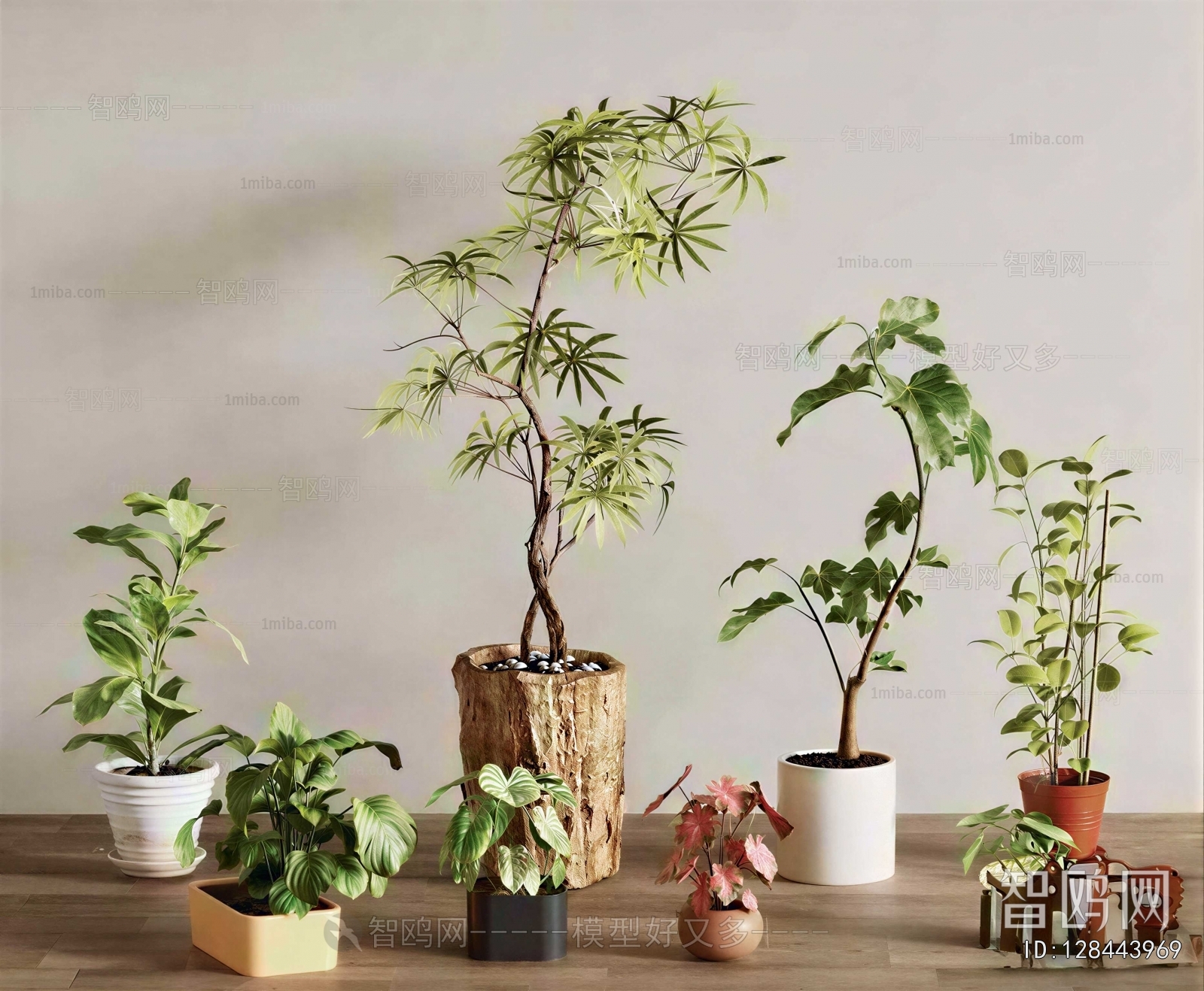 Modern Ground Green Plant Potted Plants