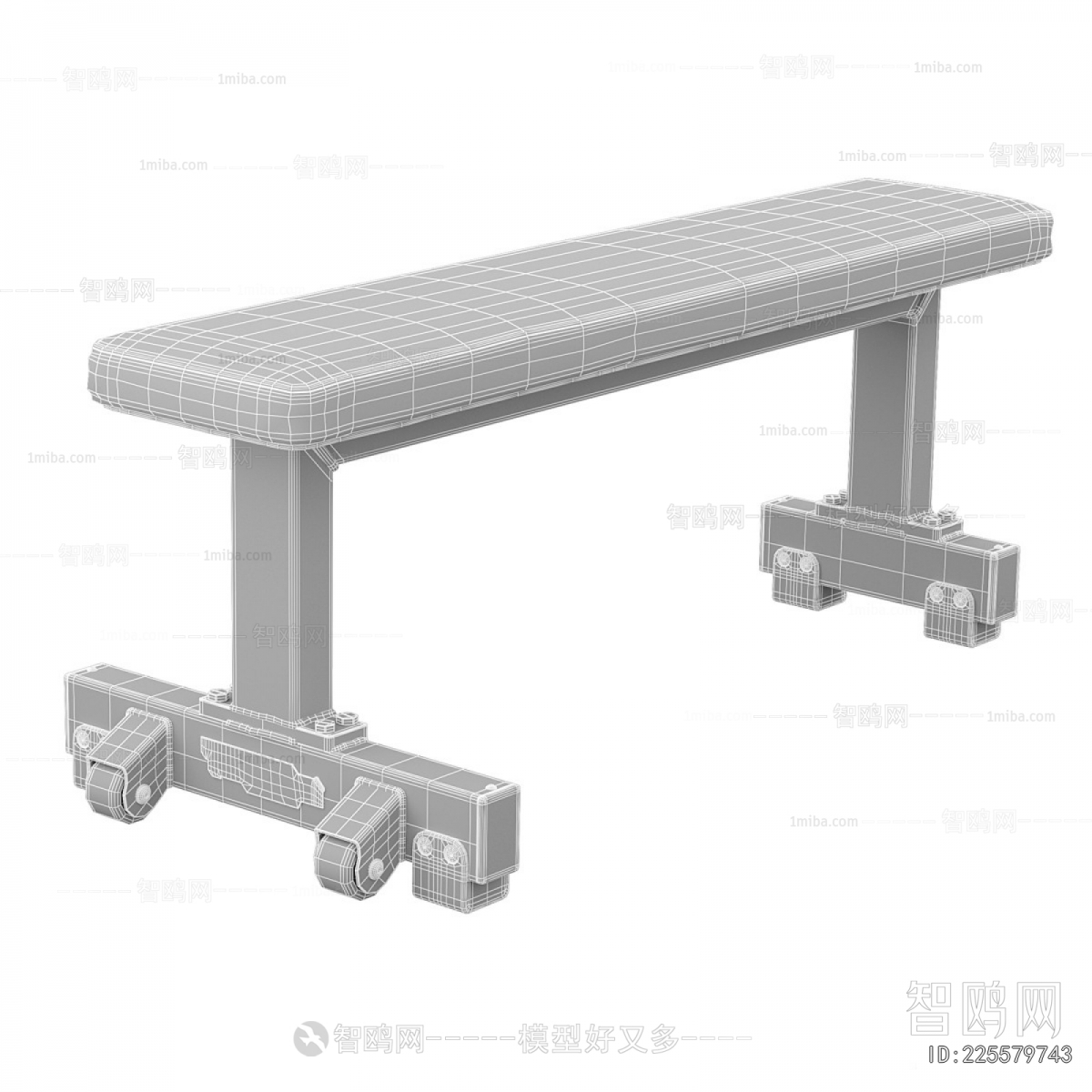 Modern Fitness Equipment