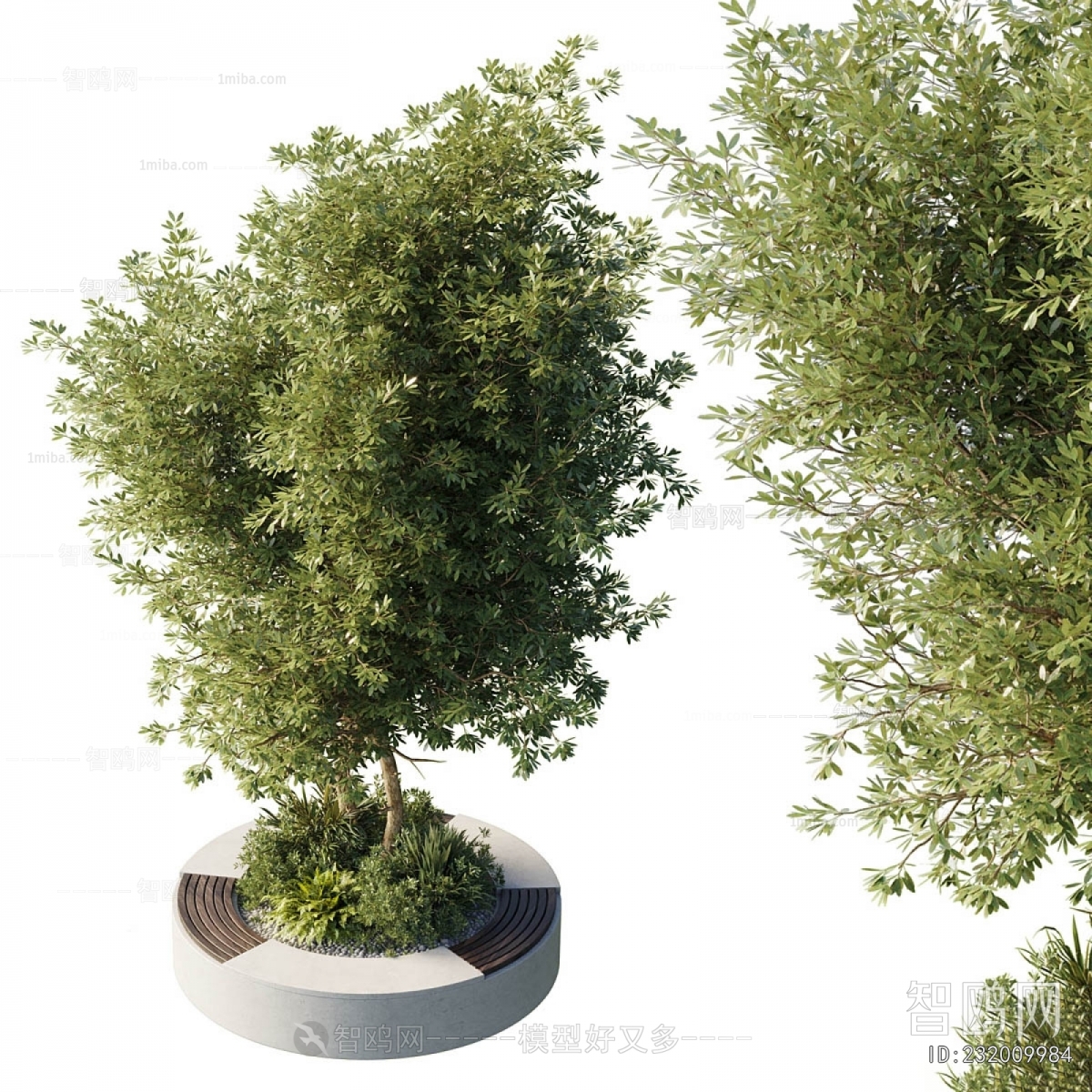Modern Shrubbery