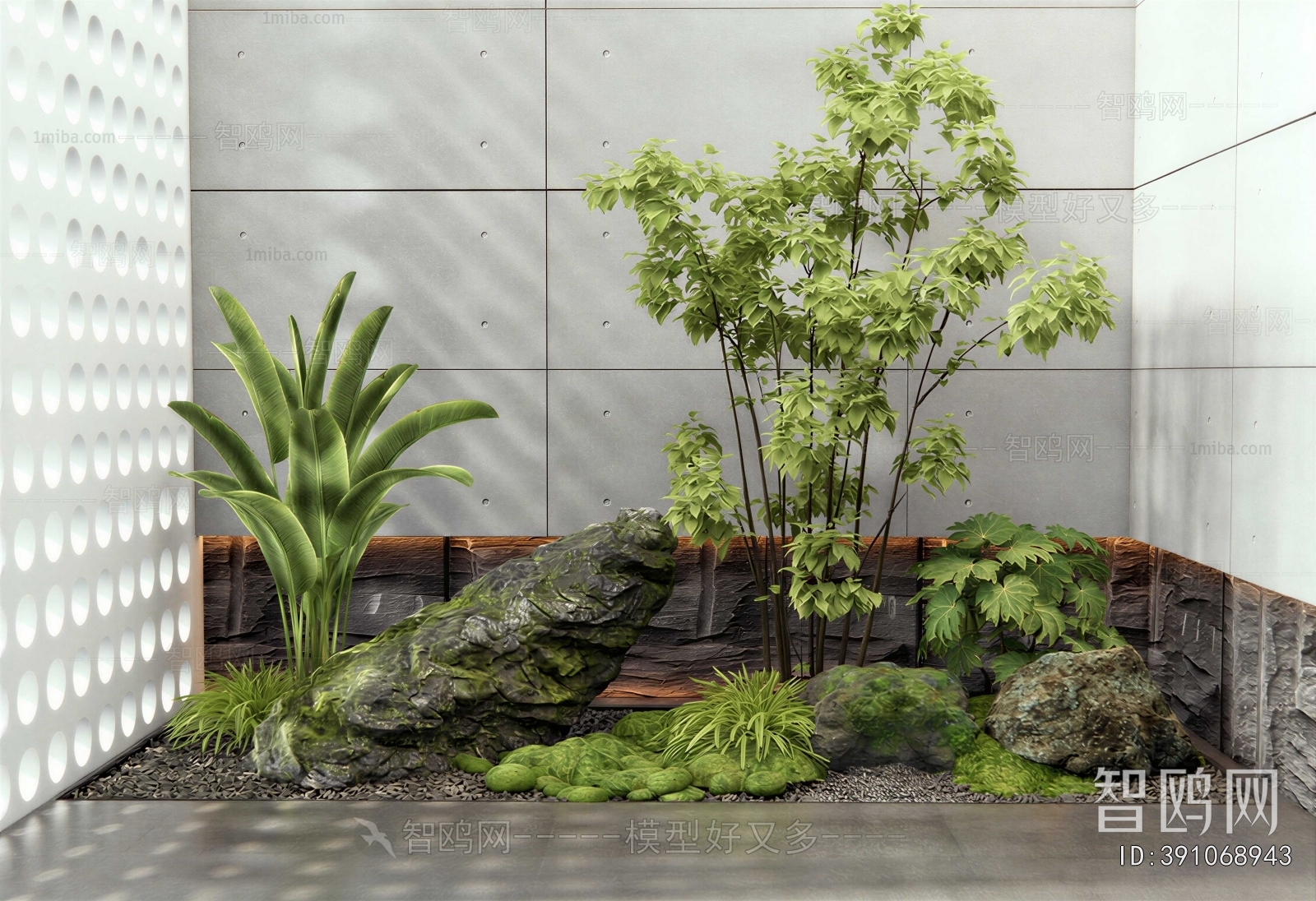 Modern Plant Landscaping