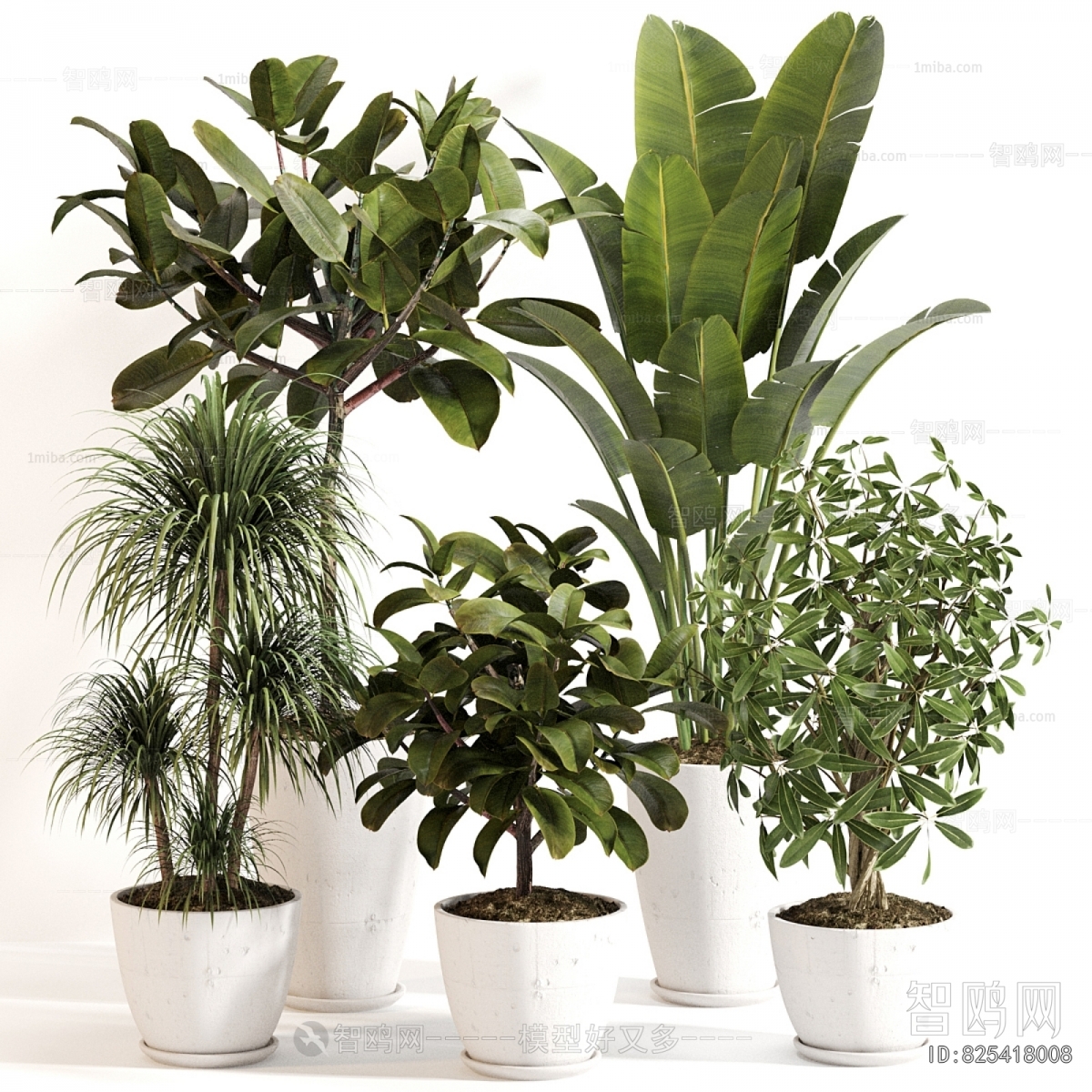 Modern Ground Green Plant Potted Plants