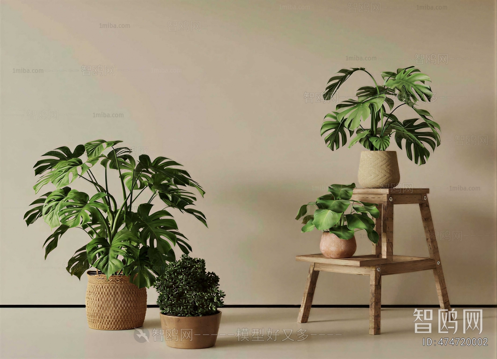 Modern Potted Green Plant