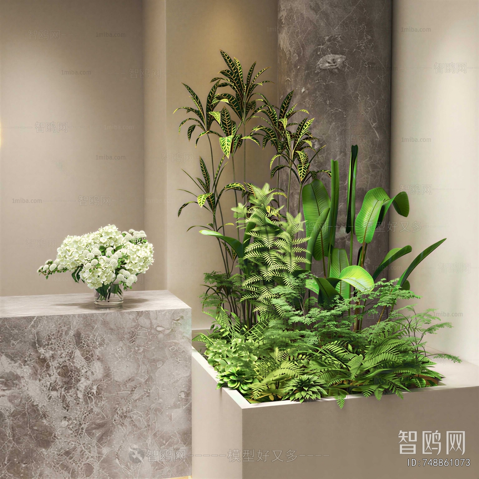 Modern Plant Landscaping