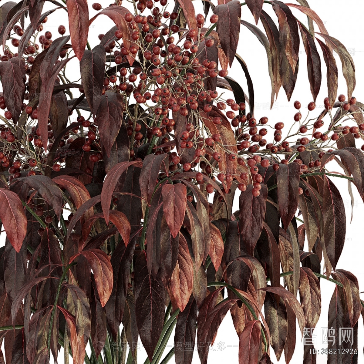 Modern Flower Arrangement