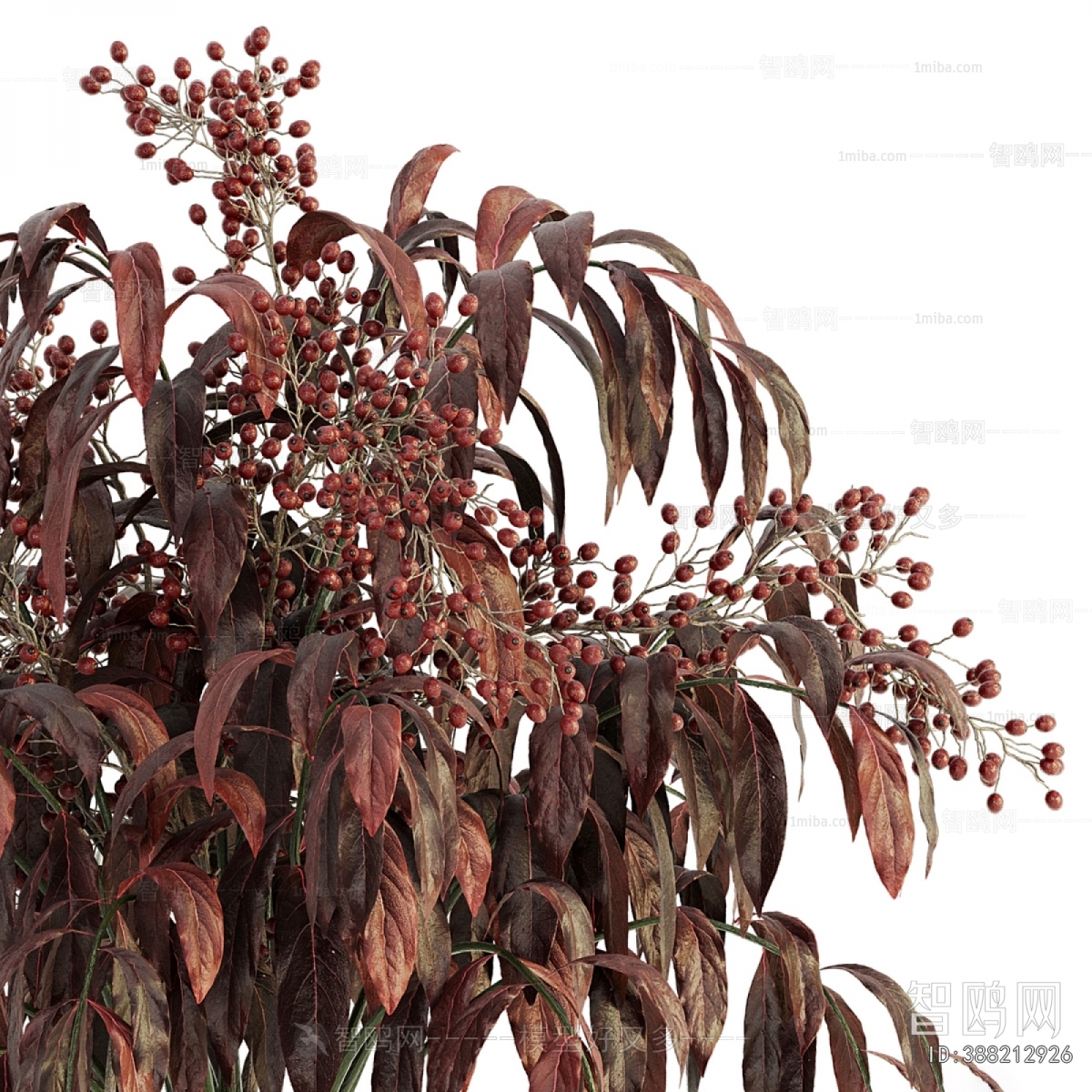 Modern Flower Arrangement