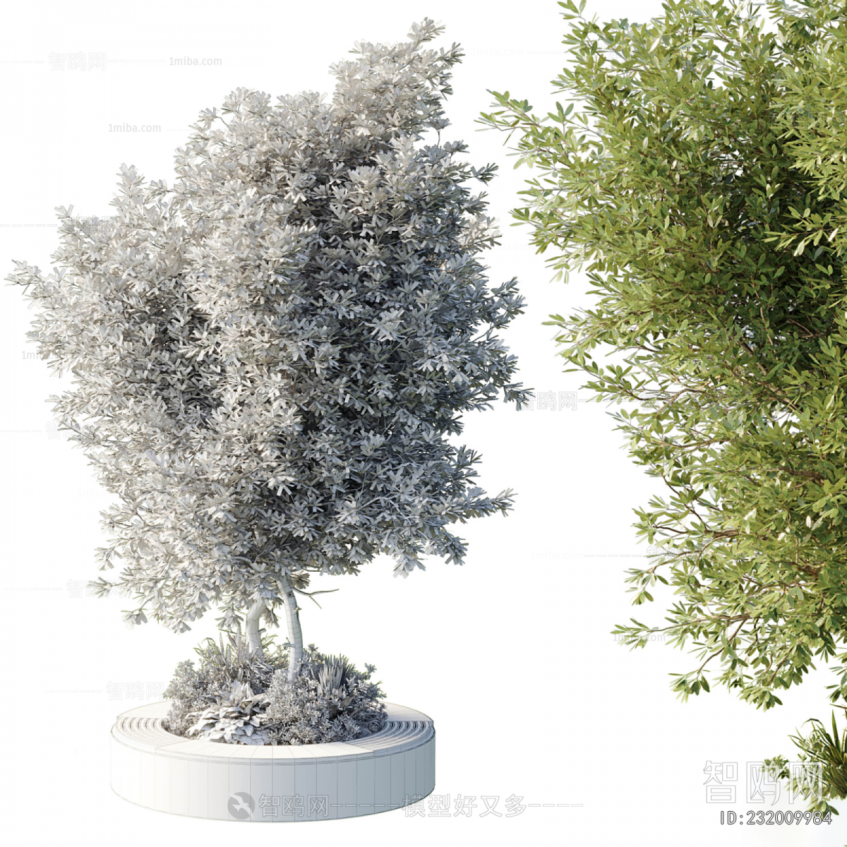 Modern Shrubbery