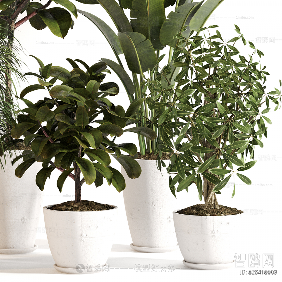 Modern Ground Green Plant Potted Plants