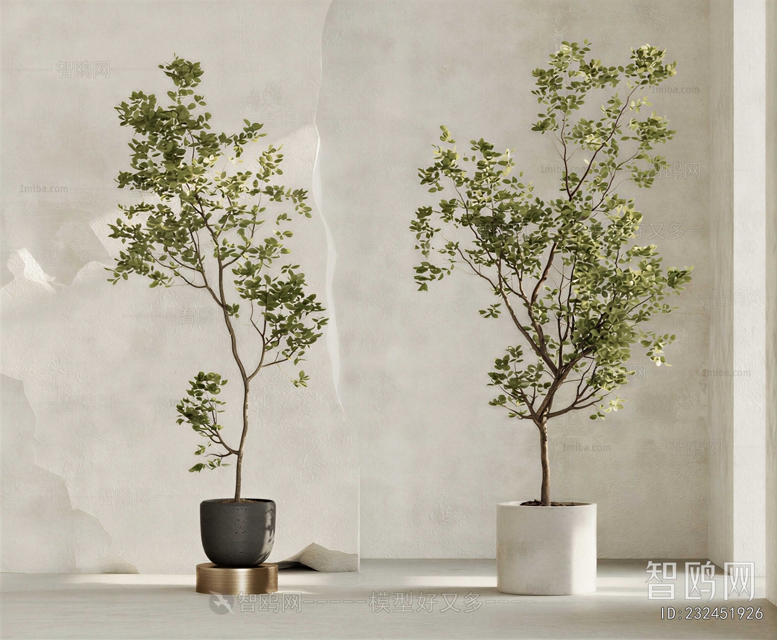 Modern Ground Green Plant Potted Plants