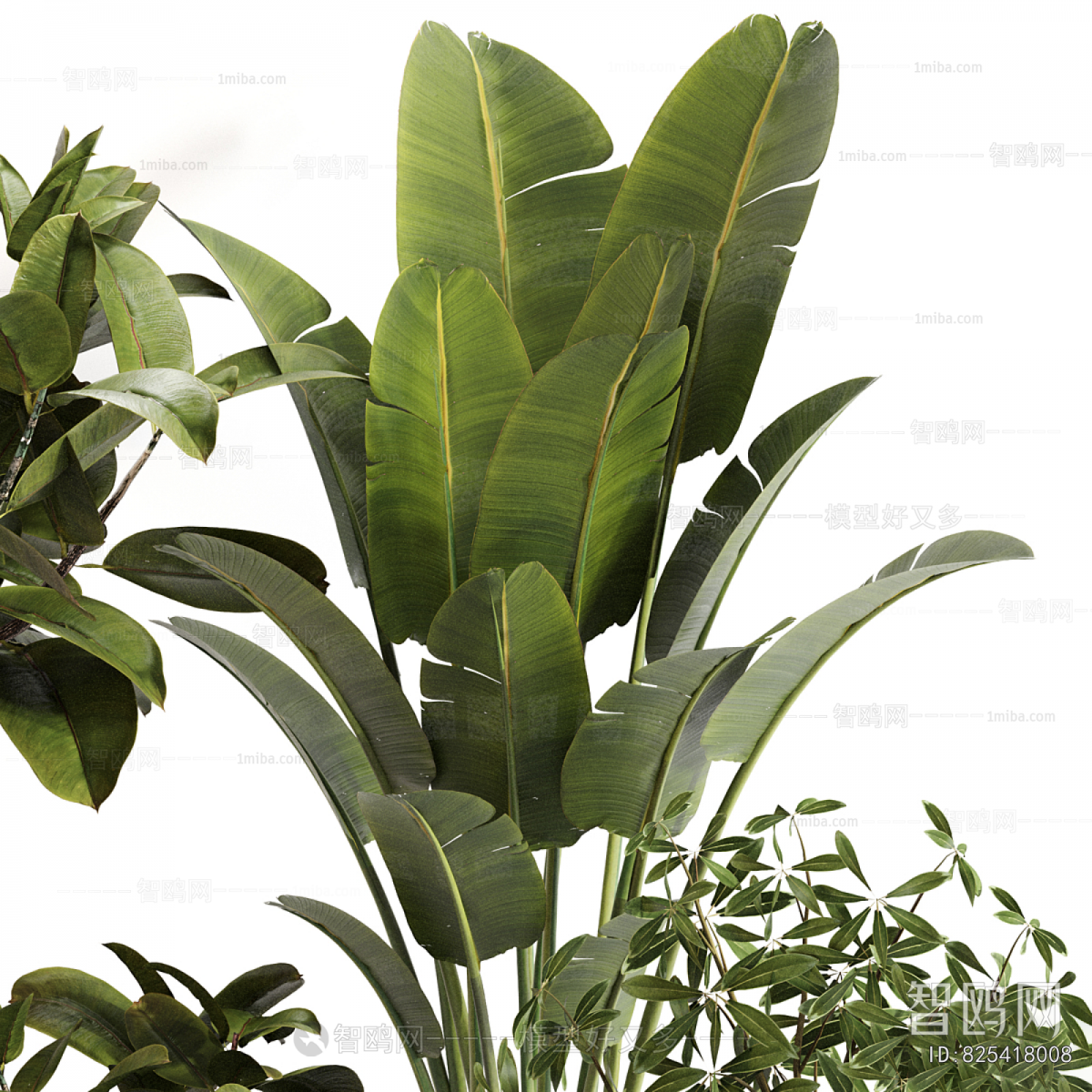Modern Ground Green Plant Potted Plants