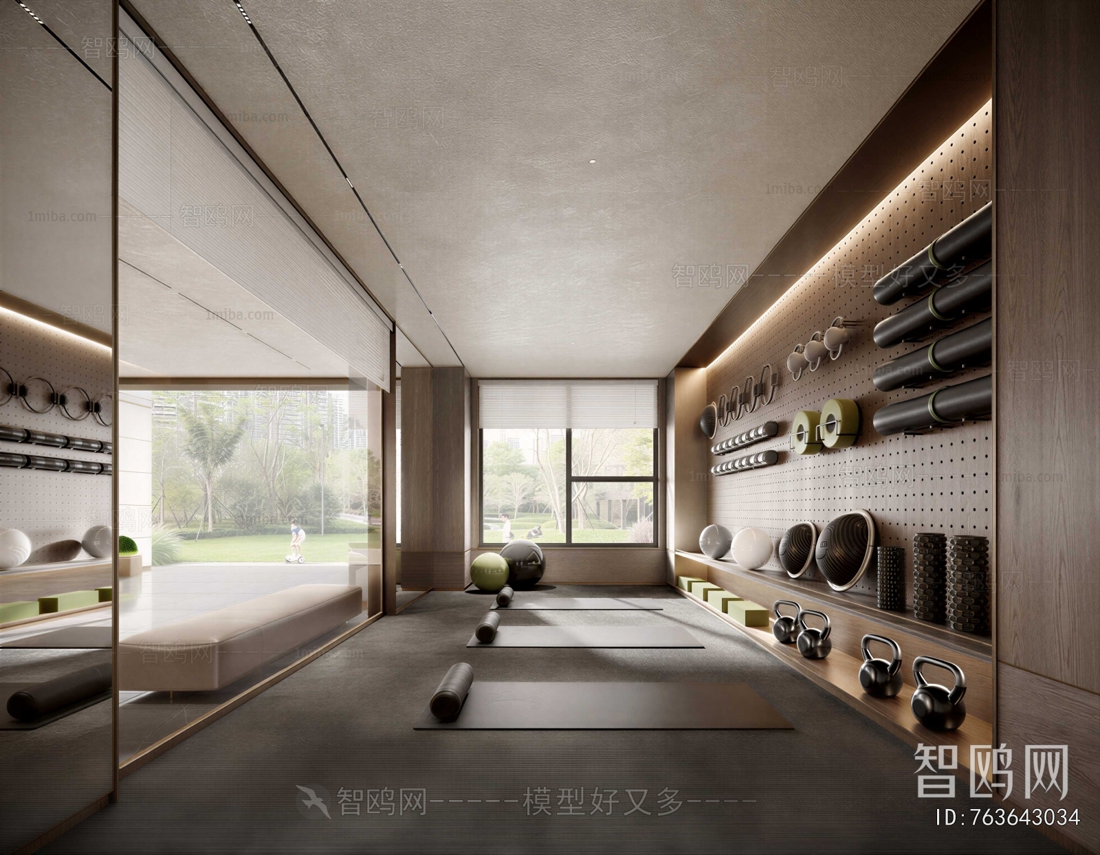 Modern Home Fitness Room