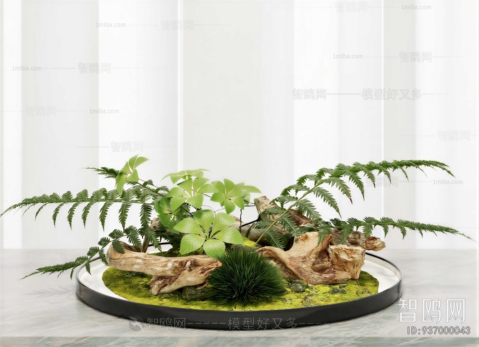 Modern Plant Landscaping