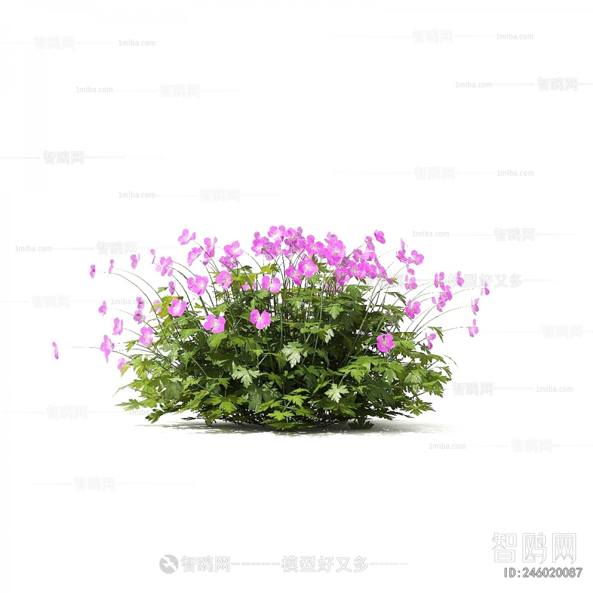 Modern Flowers And Grass