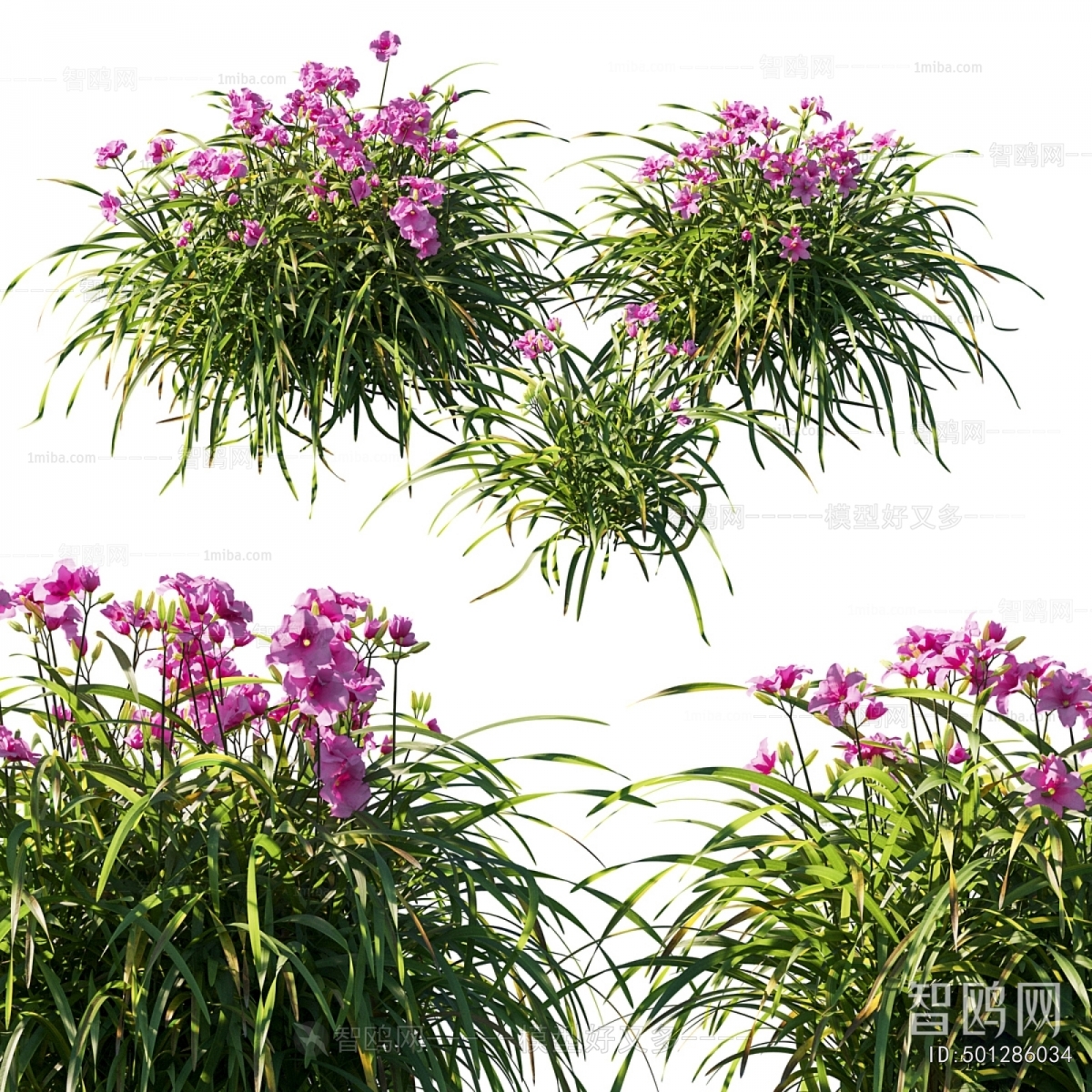 Modern Flowers And Grass