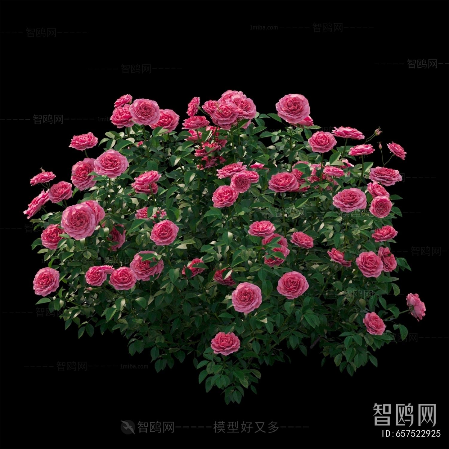 Modern Flowers And Grass