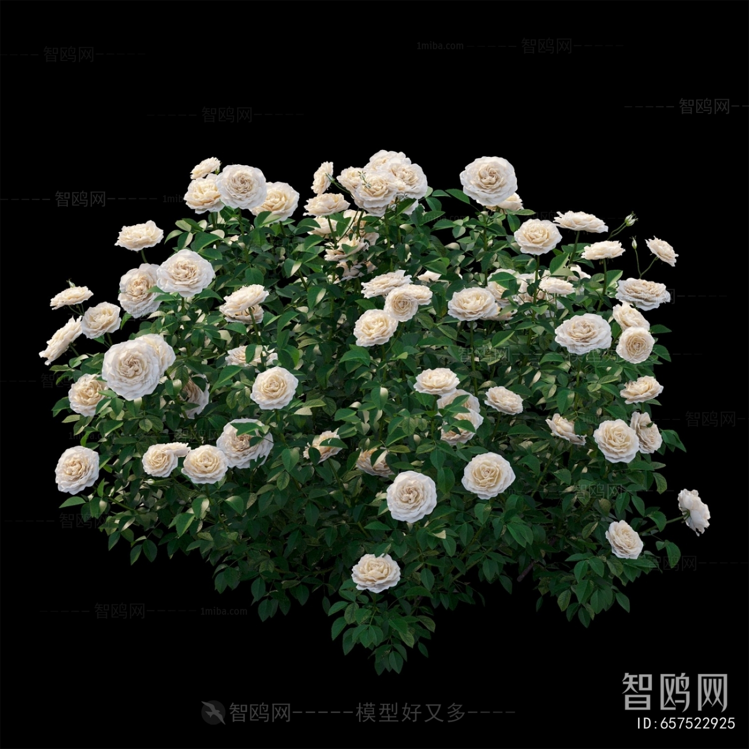 Modern Flowers And Grass