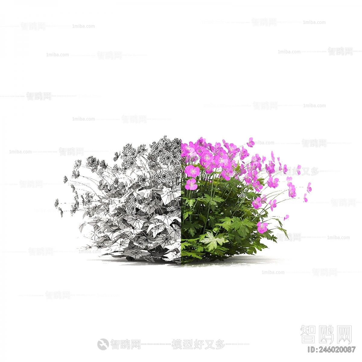 Modern Flowers And Grass