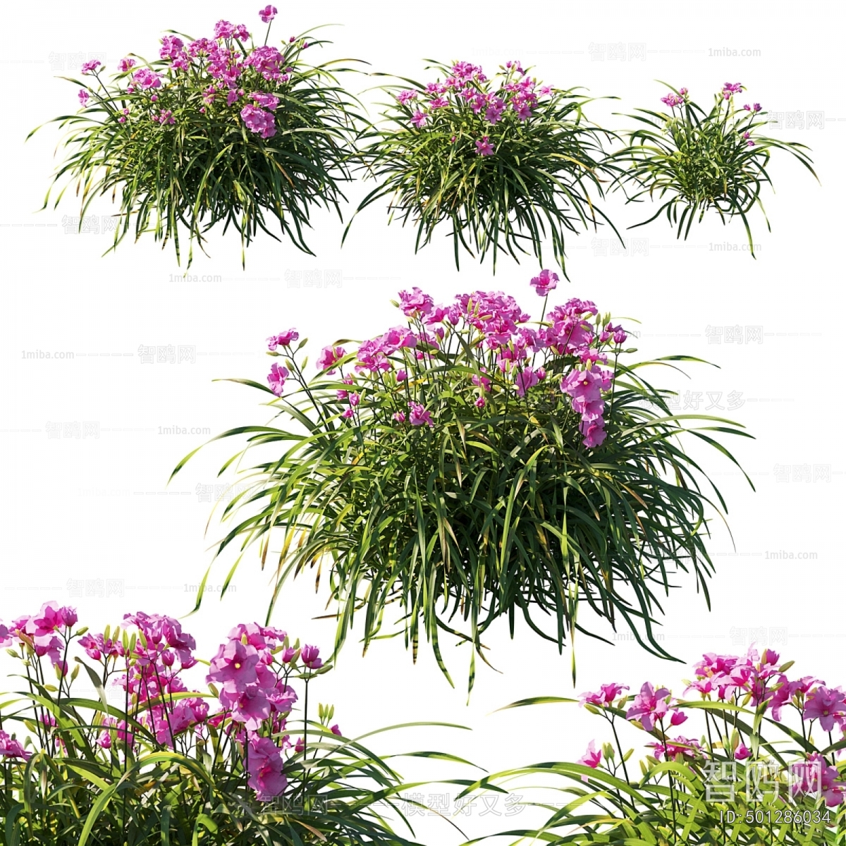 Modern Flowers And Grass