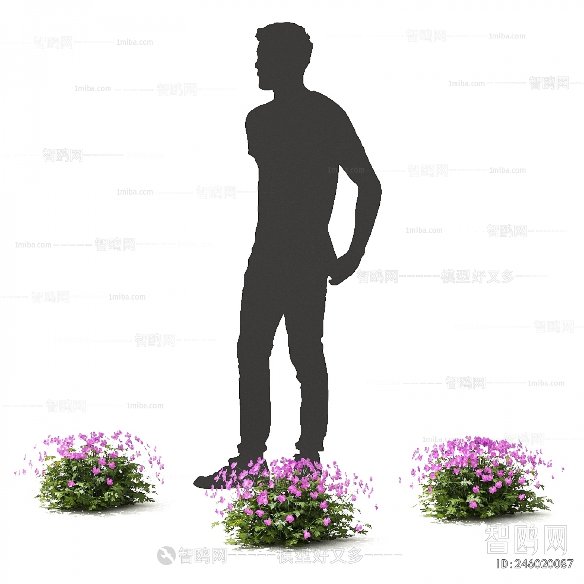 Modern Flowers And Grass