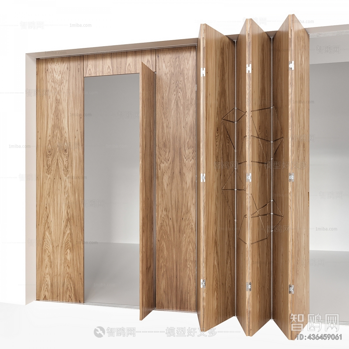 Modern Door
