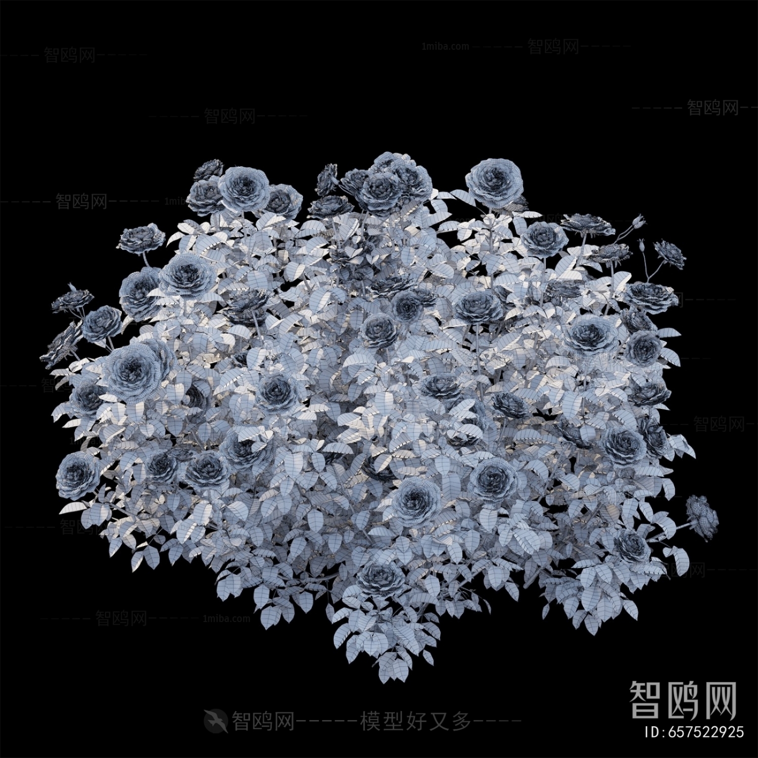 Modern Flowers And Grass