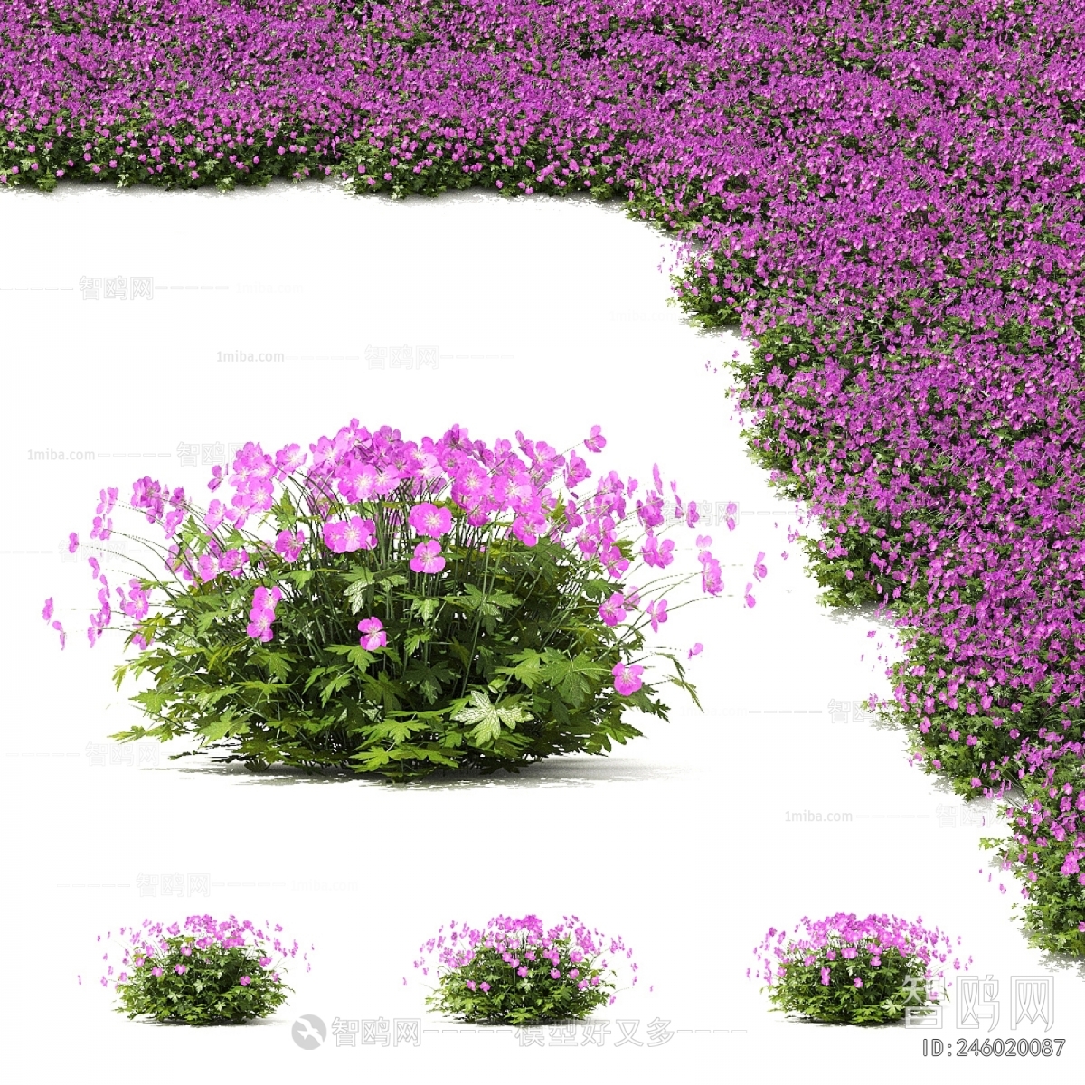 Modern Flowers And Grass