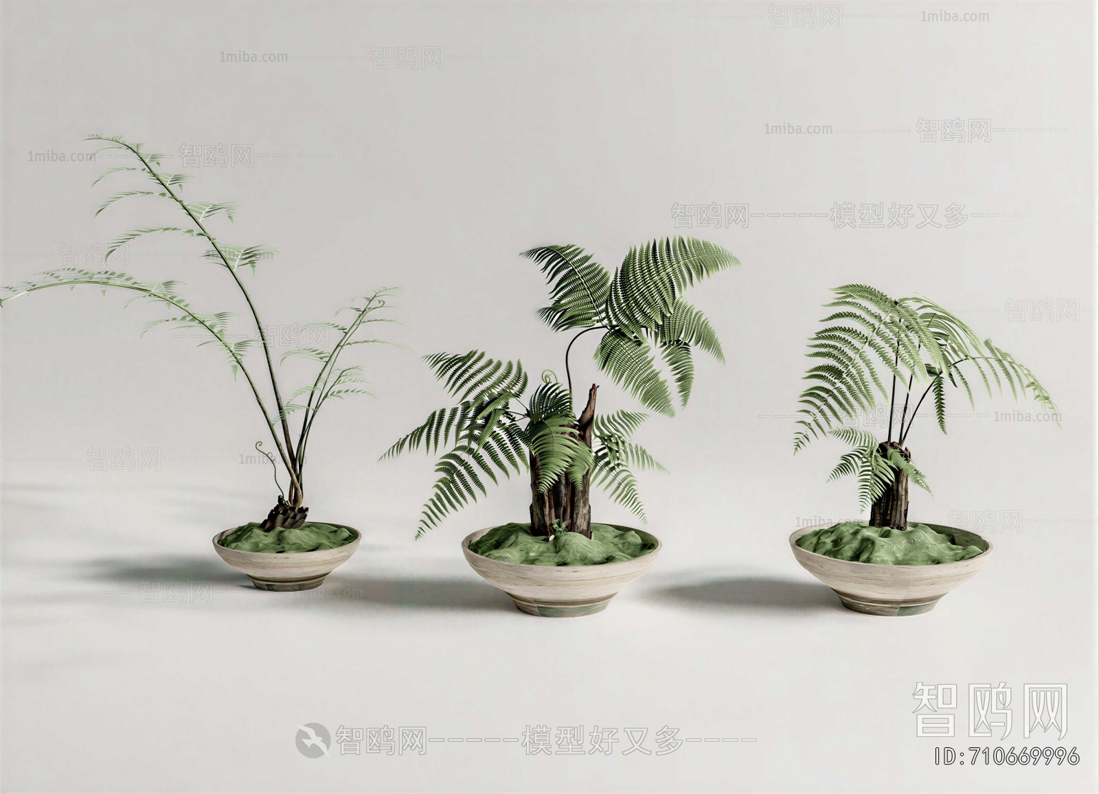 Modern Potted Green Plant