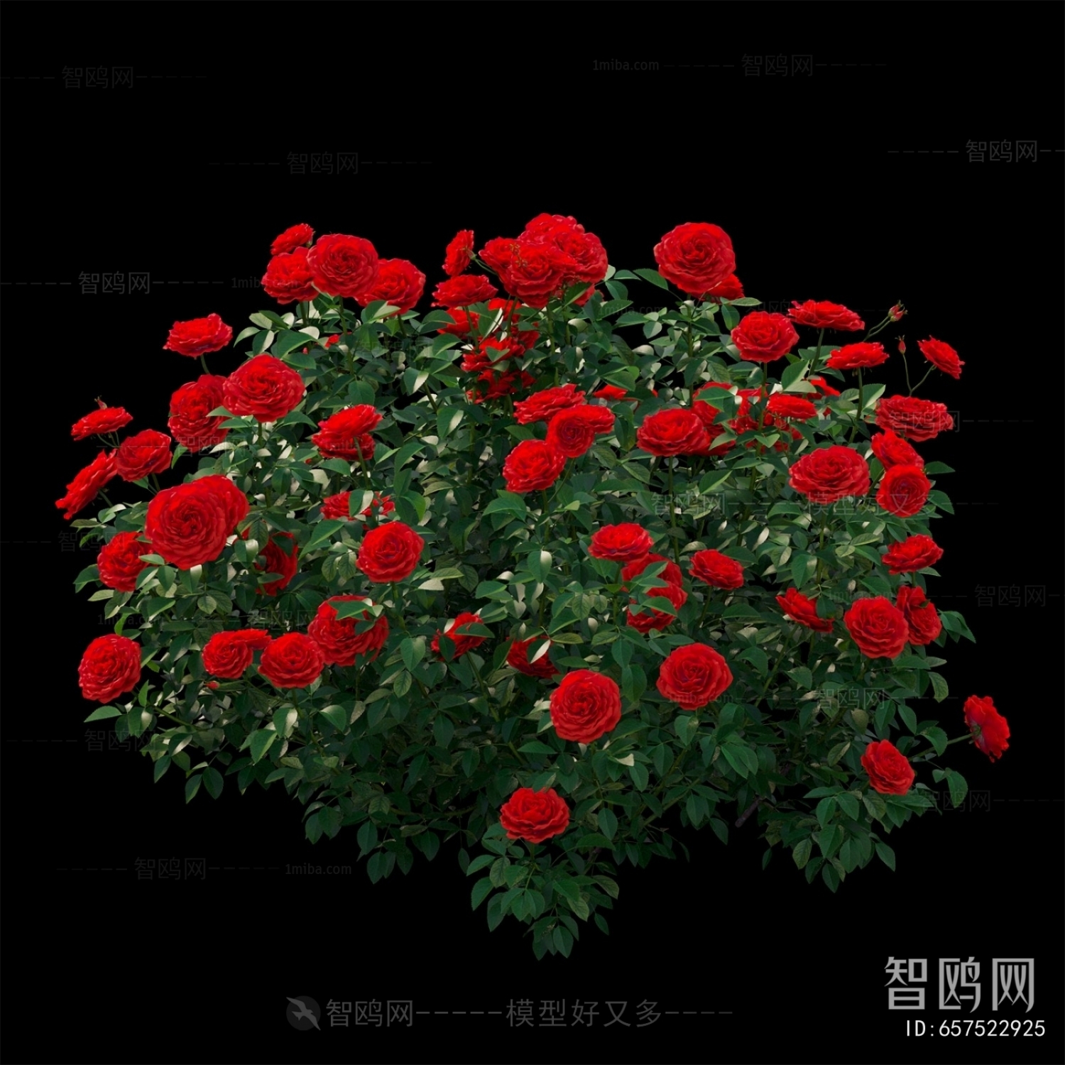 Modern Flowers And Grass