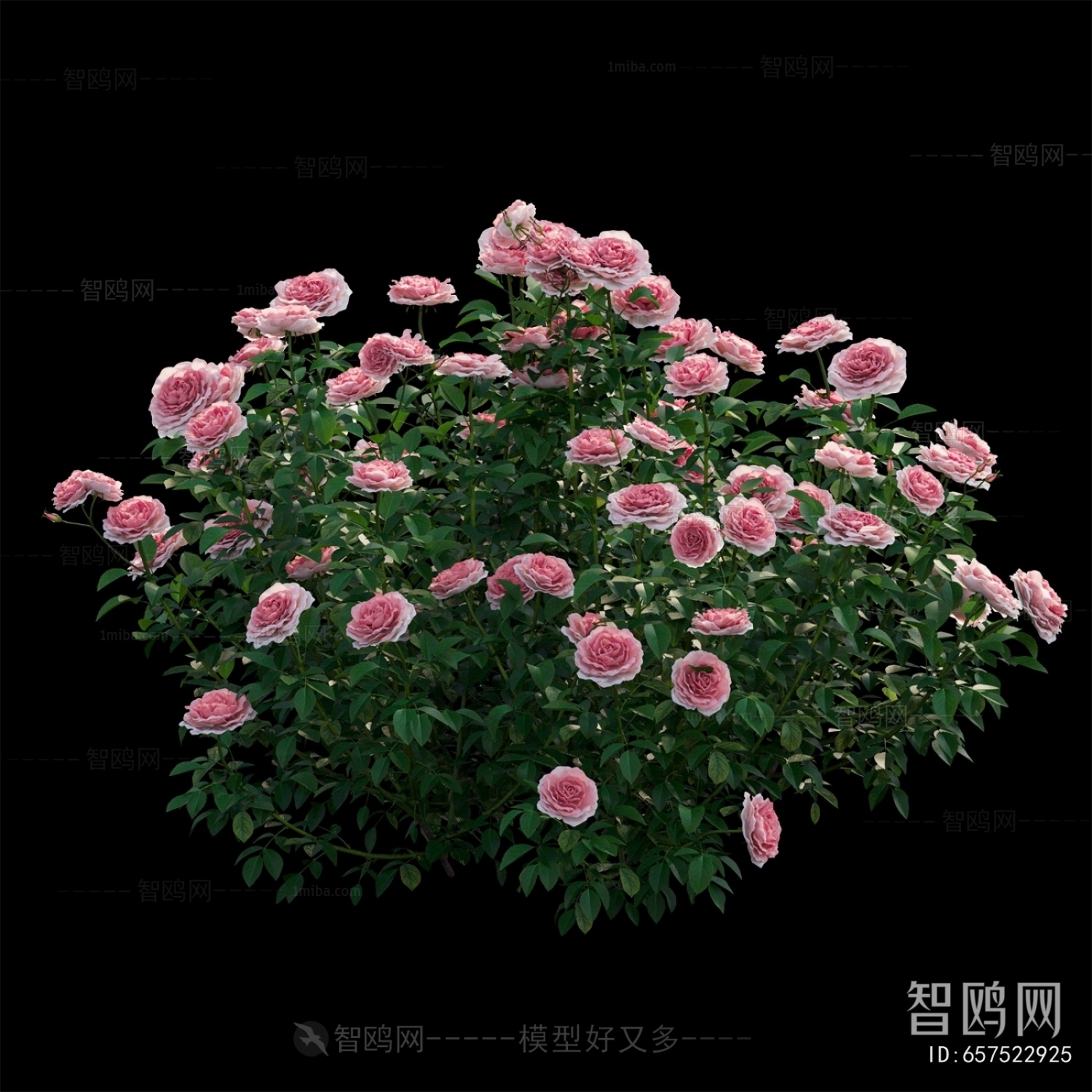 Modern Flowers And Grass