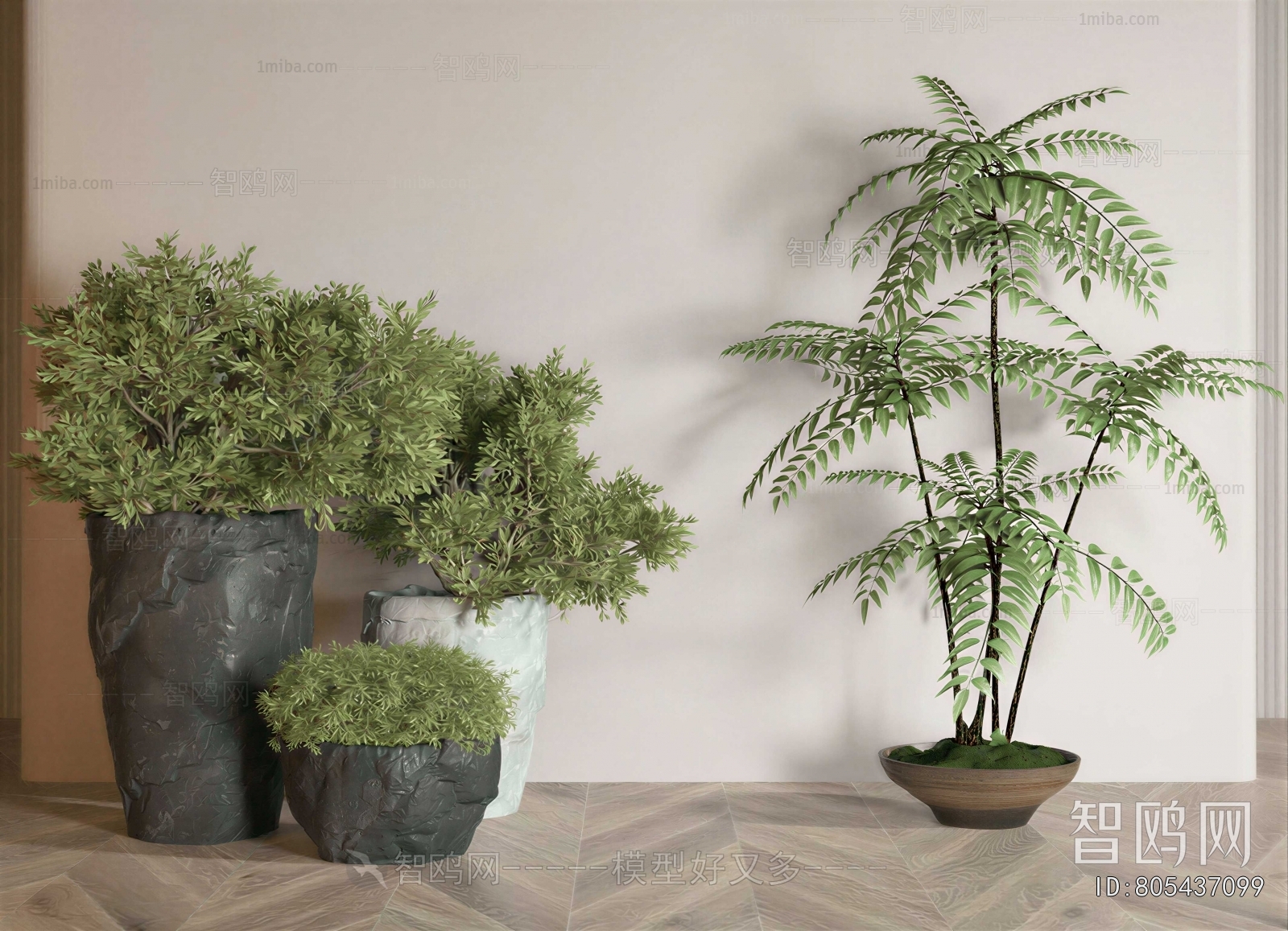 Modern Potted Green Plant