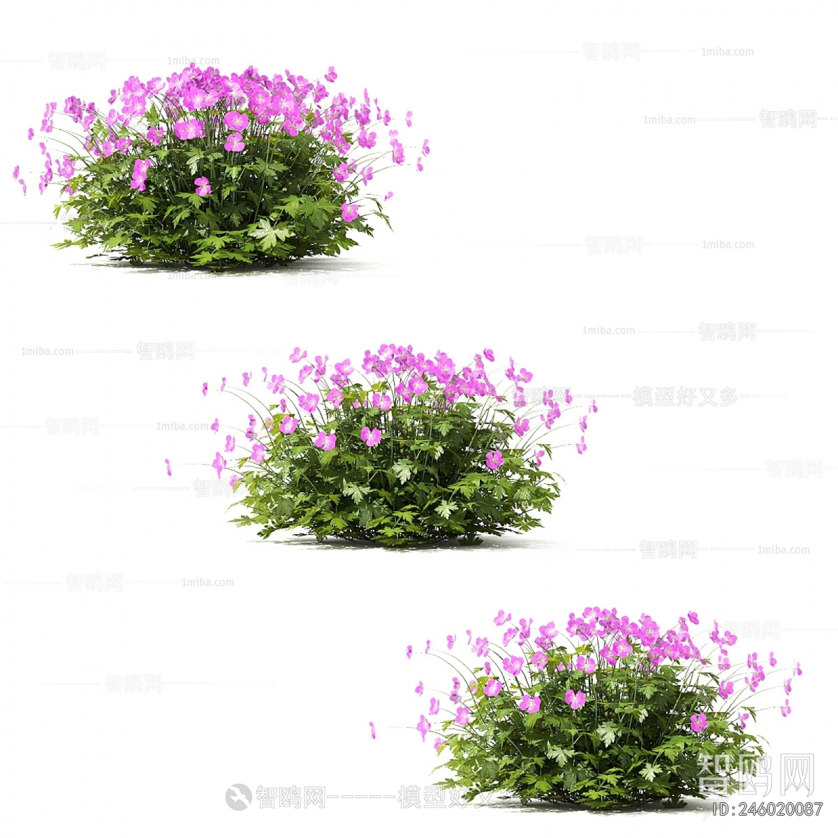 Modern Flowers And Grass