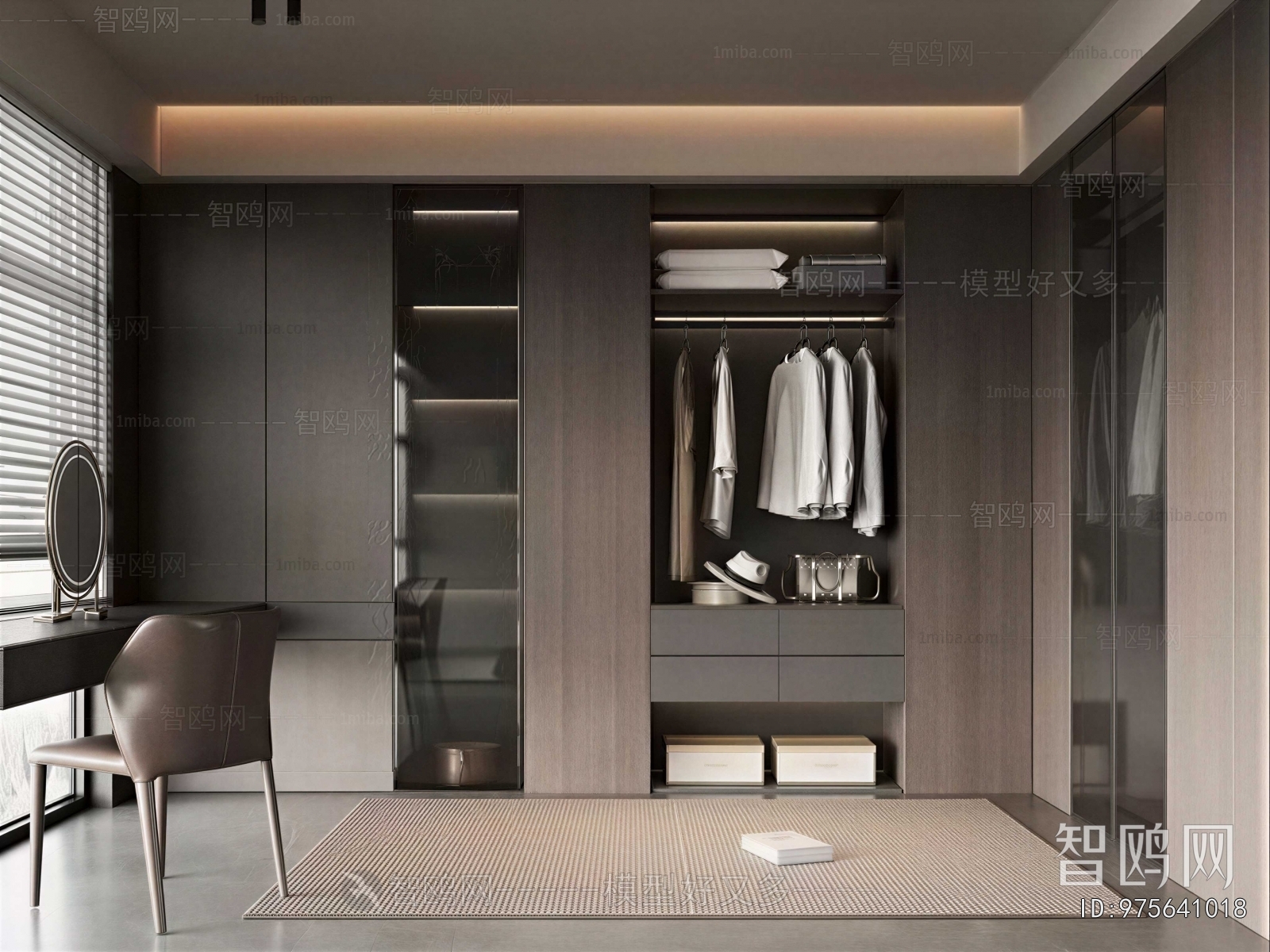 Modern Clothes Storage Area