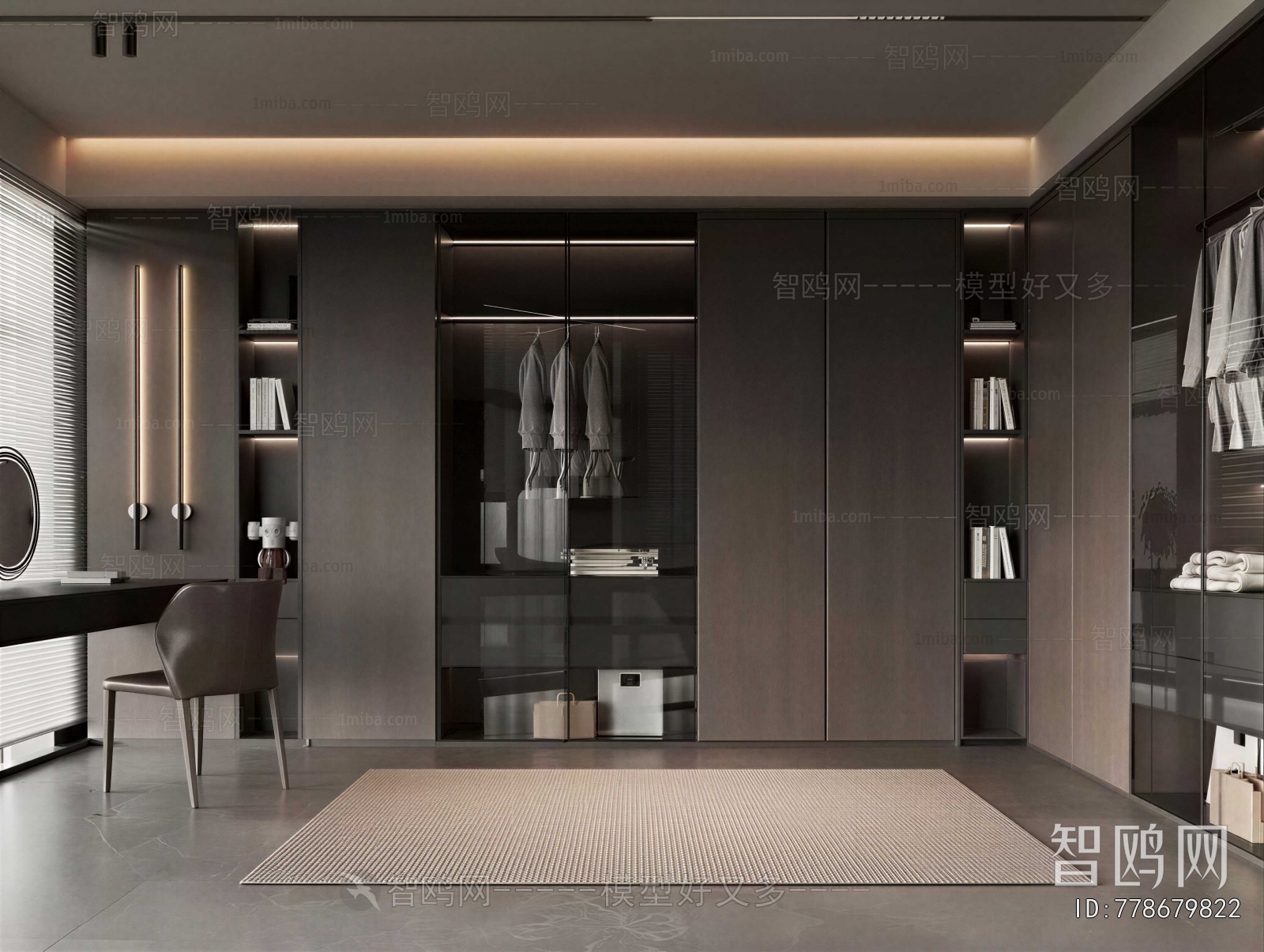 Modern Clothes Storage Area