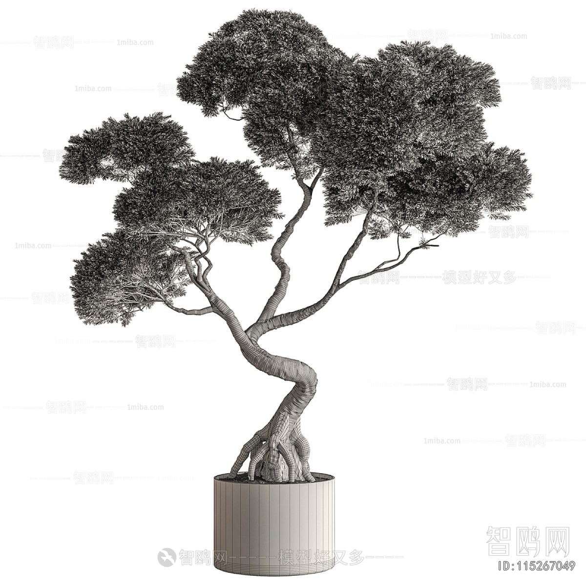 Modern Ground Green Plant Potted Plants