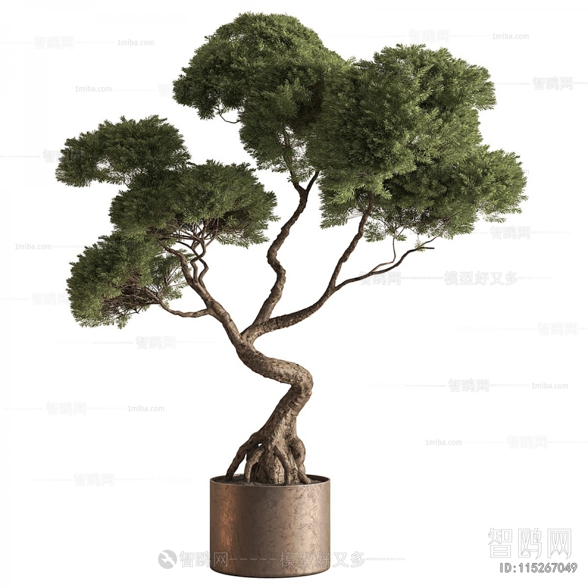 Modern Ground Green Plant Potted Plants