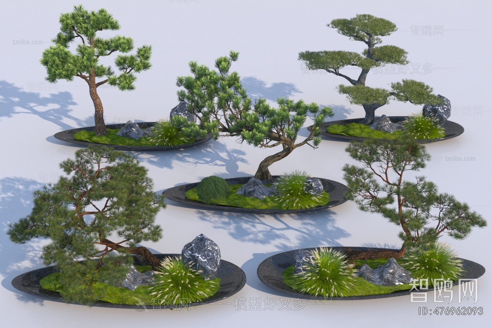 Modern Plant Landscaping