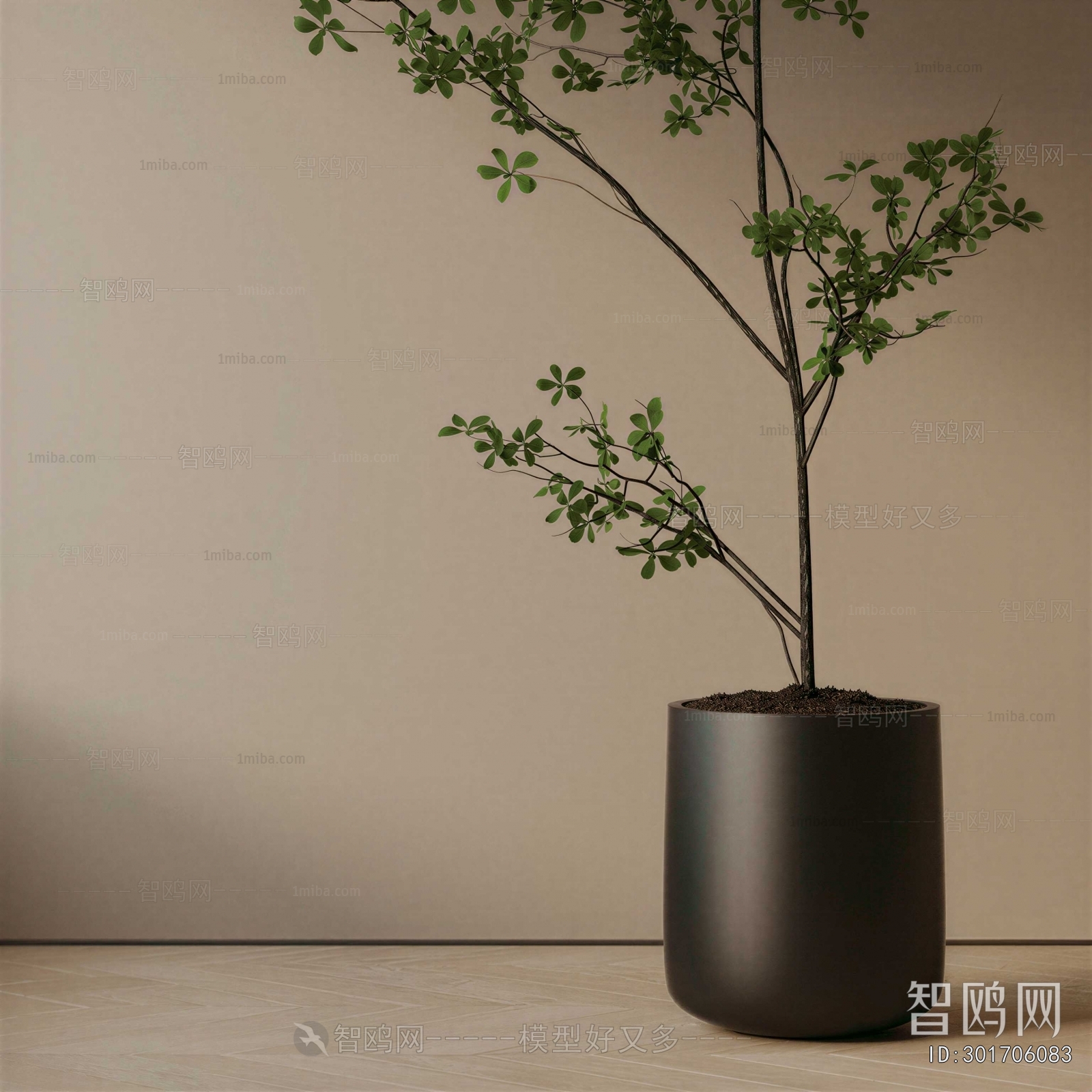 Modern Ground Green Plant Potted Plants