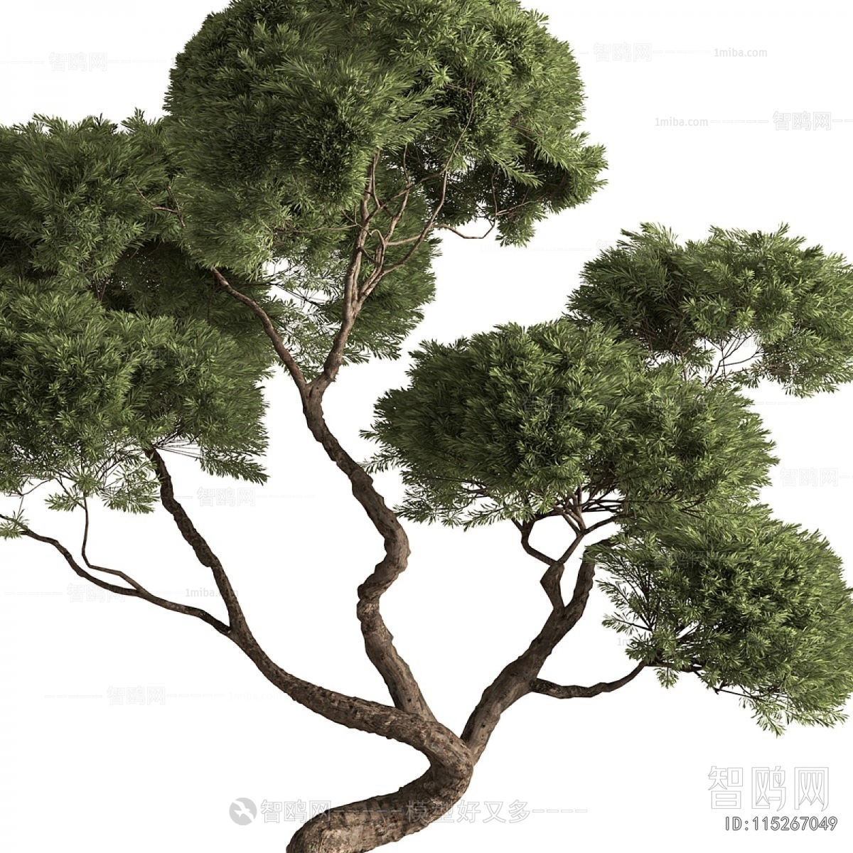 Modern Ground Green Plant Potted Plants