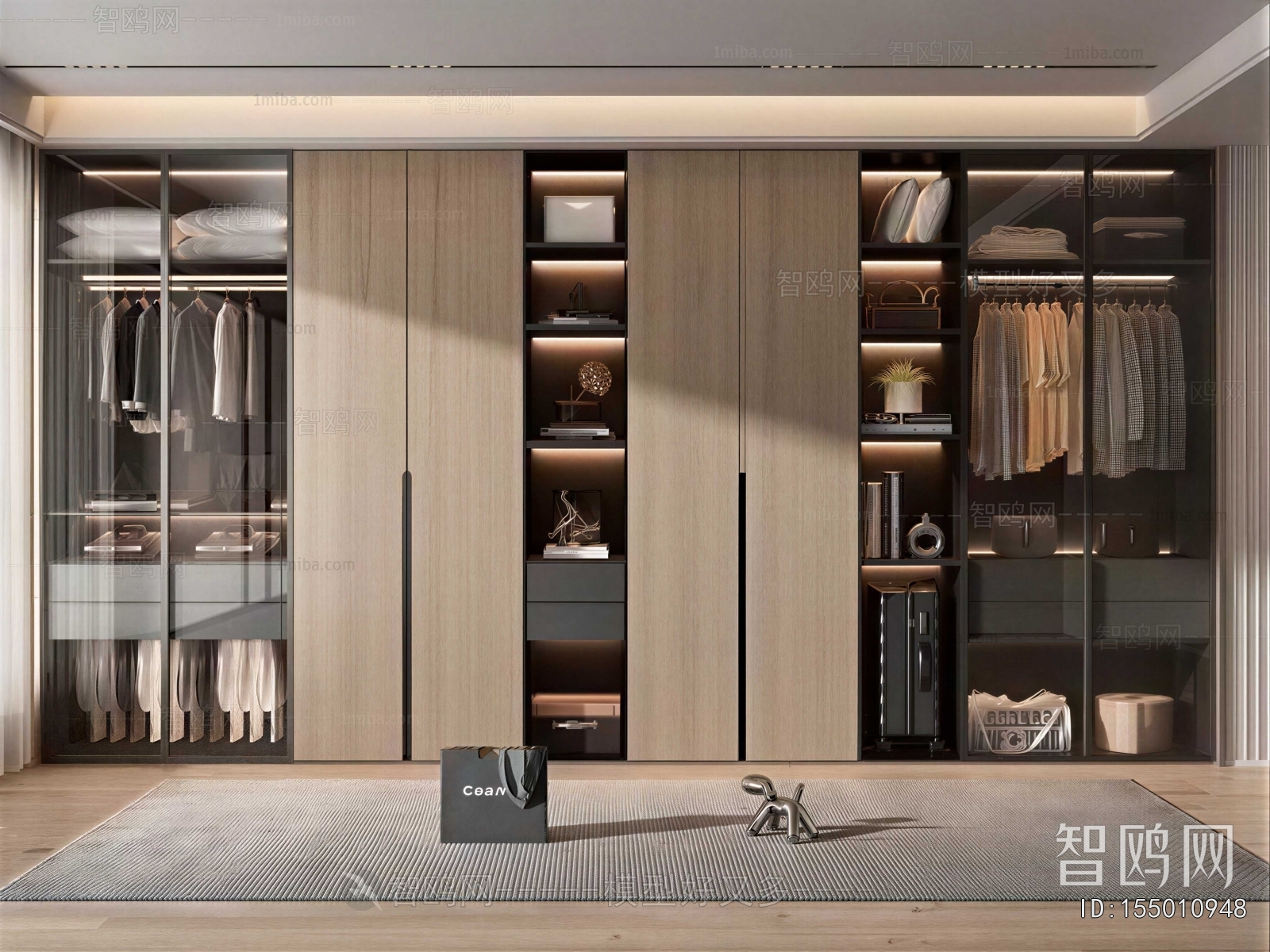 Modern Clothes Storage Area