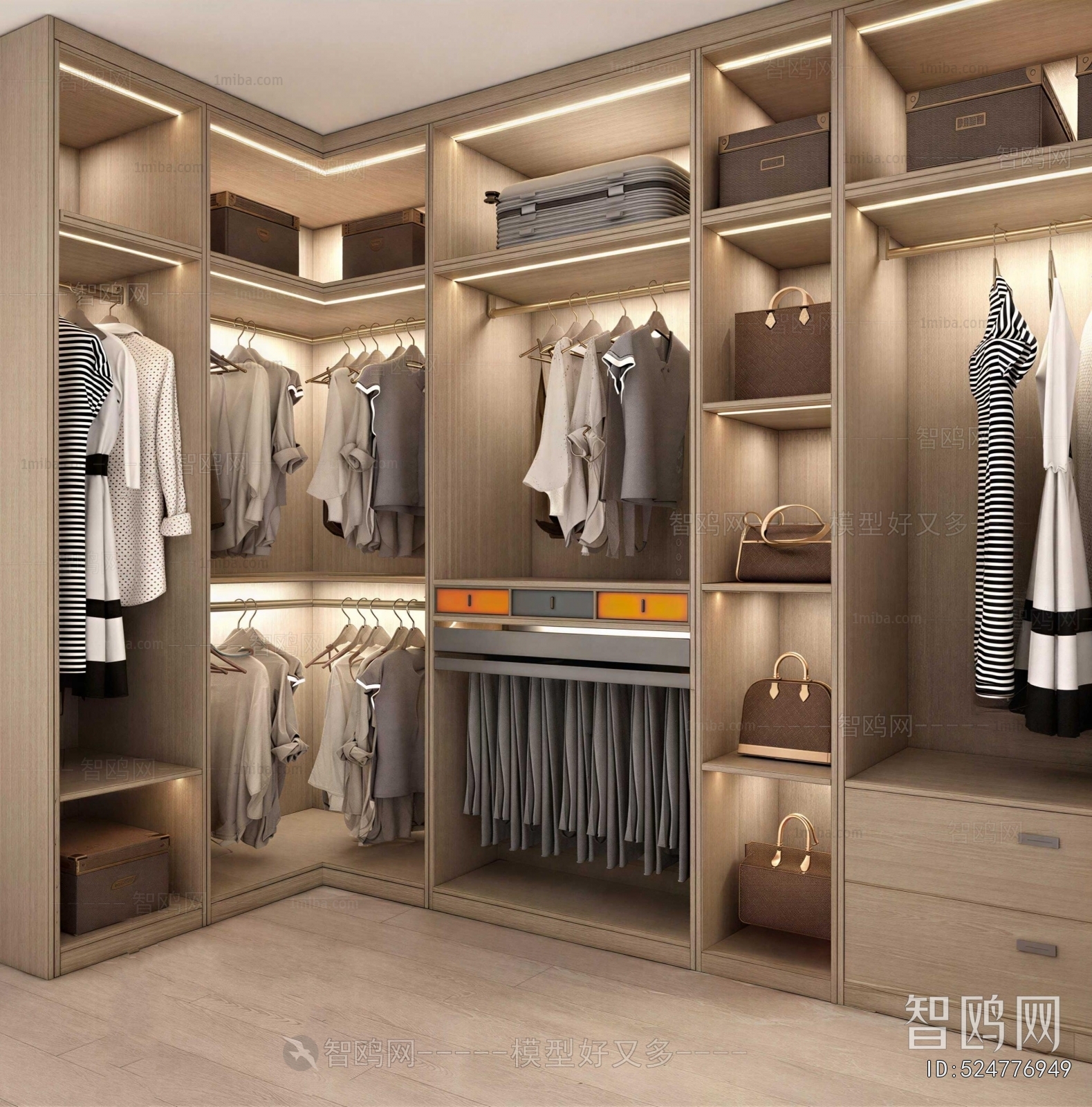 Modern Clothes Storage Area