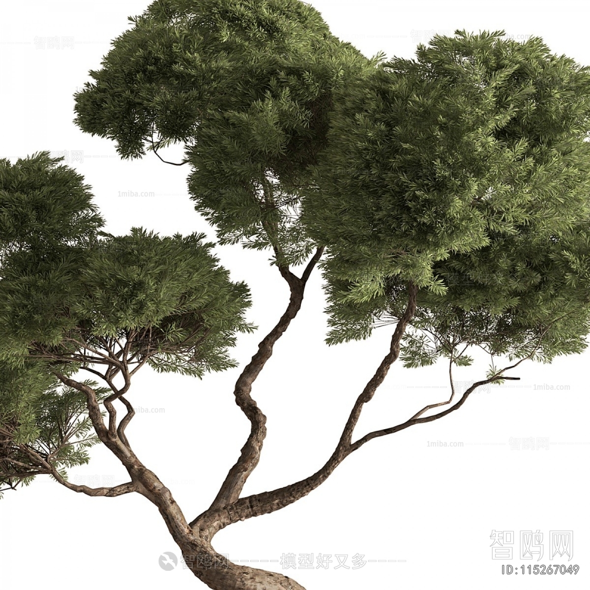 Modern Ground Green Plant Potted Plants