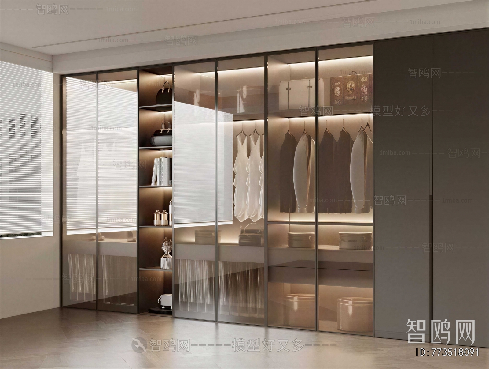 Modern Clothes Storage Area