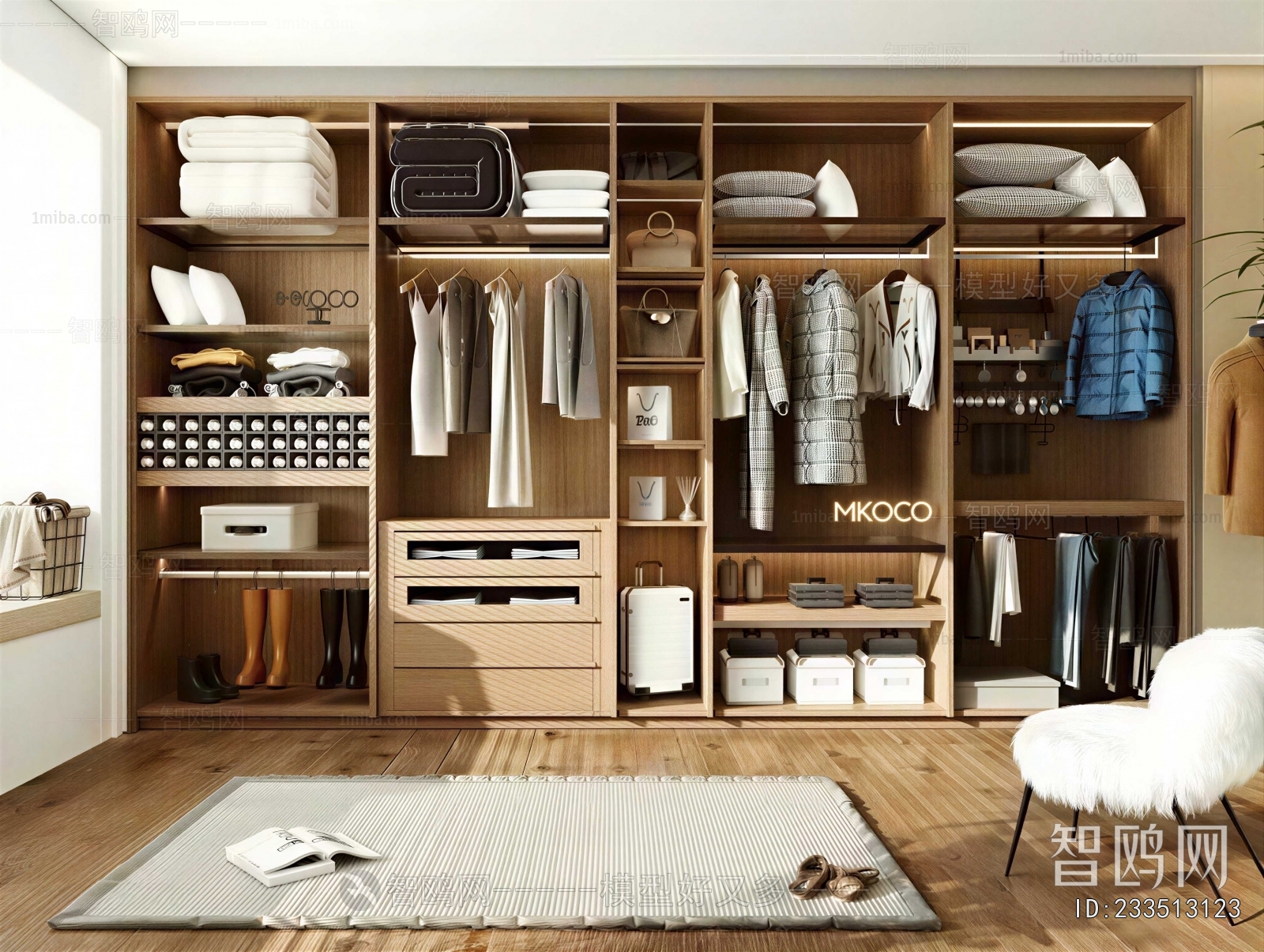 Modern Clothes Storage Area