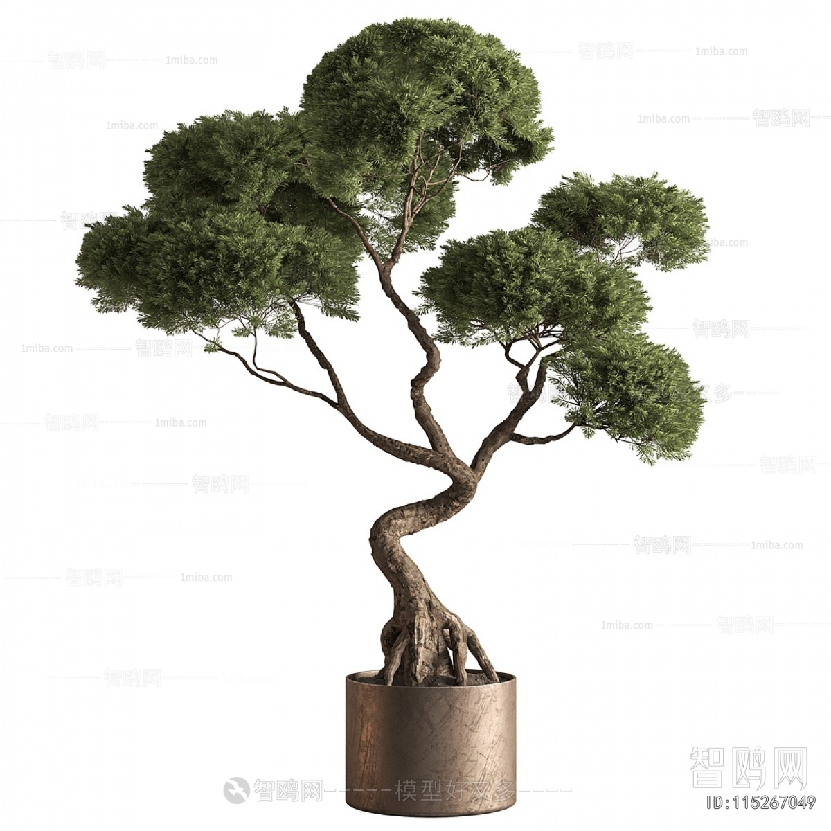 Modern Ground Green Plant Potted Plants