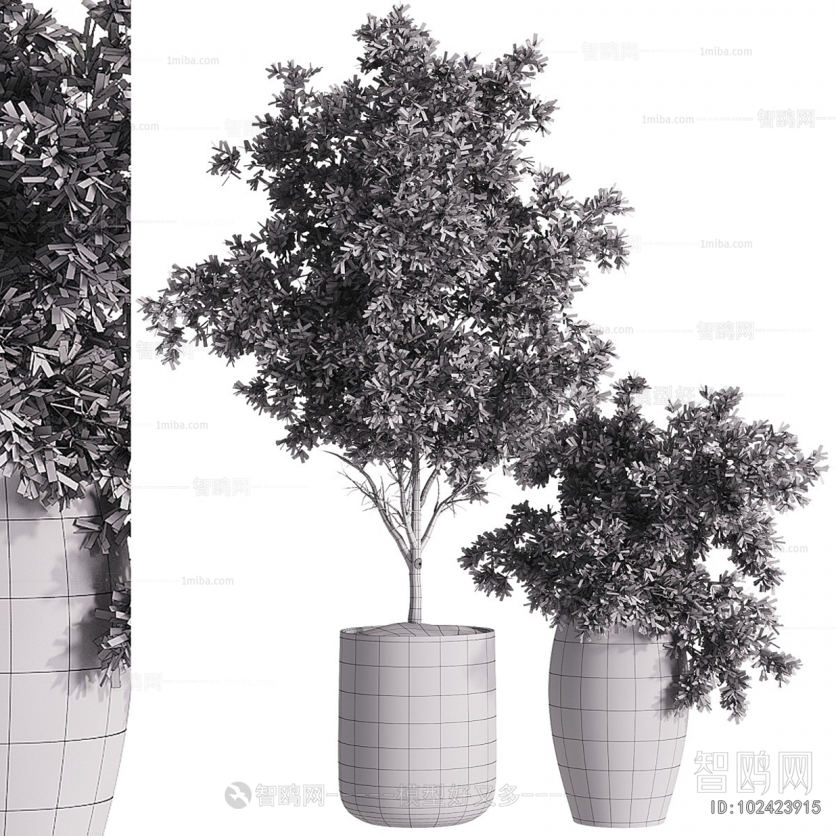 Modern Ground Green Plant Potted Plants