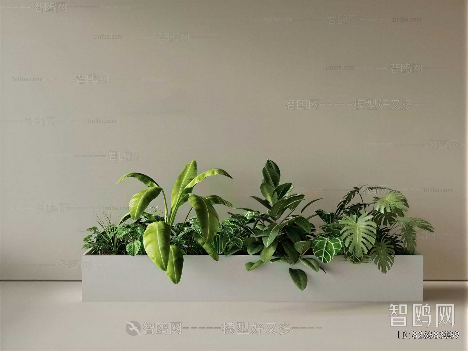 Modern Flower Bed, Flower Bowl, Flower Box