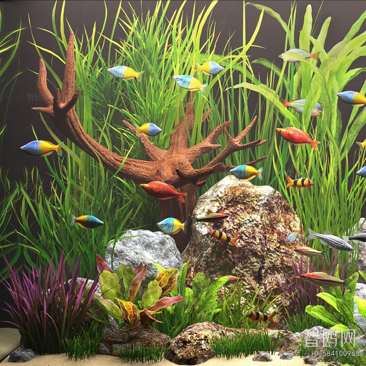 Modern Fish Tank